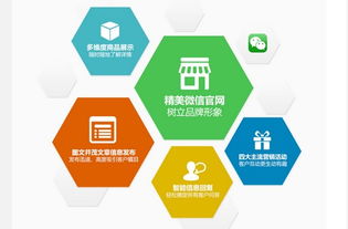 圈圈网络公司微伙伴产品招商正火爆进行中